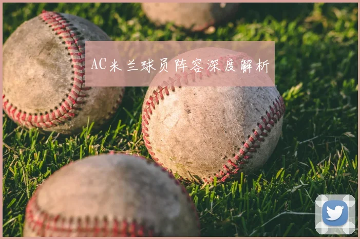 AC米兰球员阵容深度解析