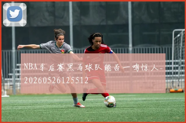 NBA季后赛黑马球队能否一鸣惊人_20260526125512