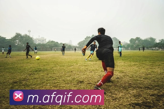 App 示例图